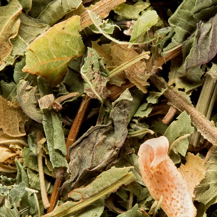 TISANE DAMMANN – Tisane du Berger