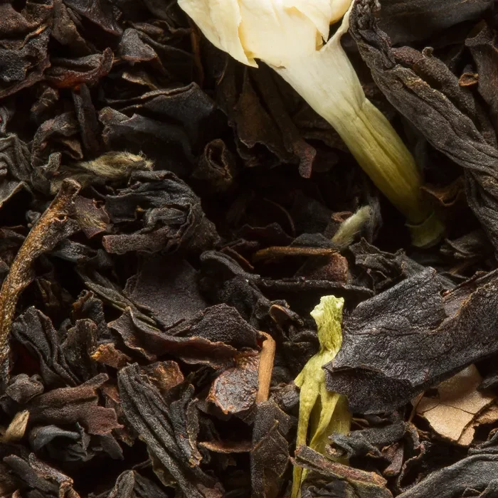 THE OOLONG DAMMANN – Châtaigne