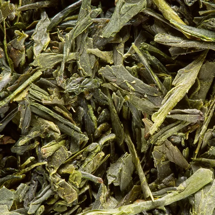 THE VERT DAMMANN – Sencha Fukuyu
