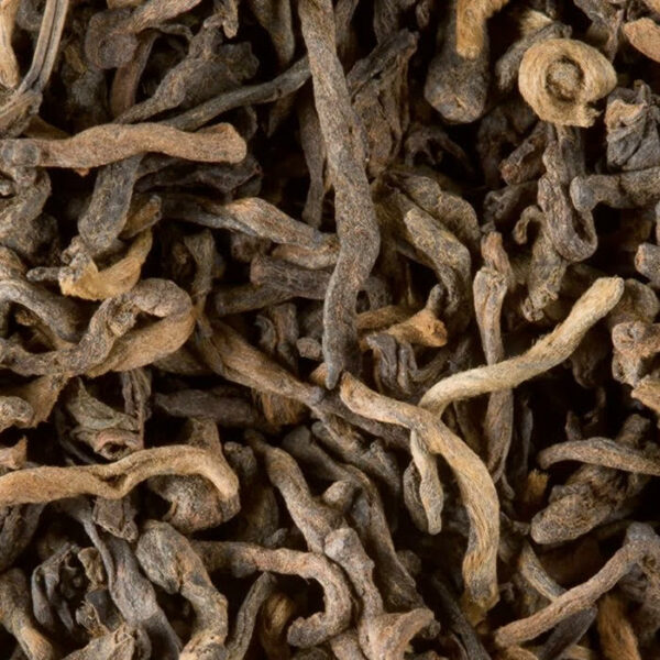 Boîte de THE SOMBRE DAMMANN – Pu-Erh Cang Yuan, thé sombre du Yunnan aux notes boisées, terreuses et cuirées