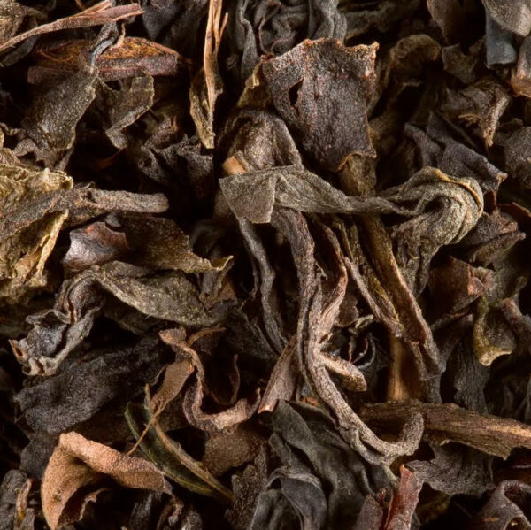 Boîte de THE OOLONG DAMMANN – Fancy, thé Oolong de Taïwan aux notes boisées, châtaigne, noix et rémanence torréfiée