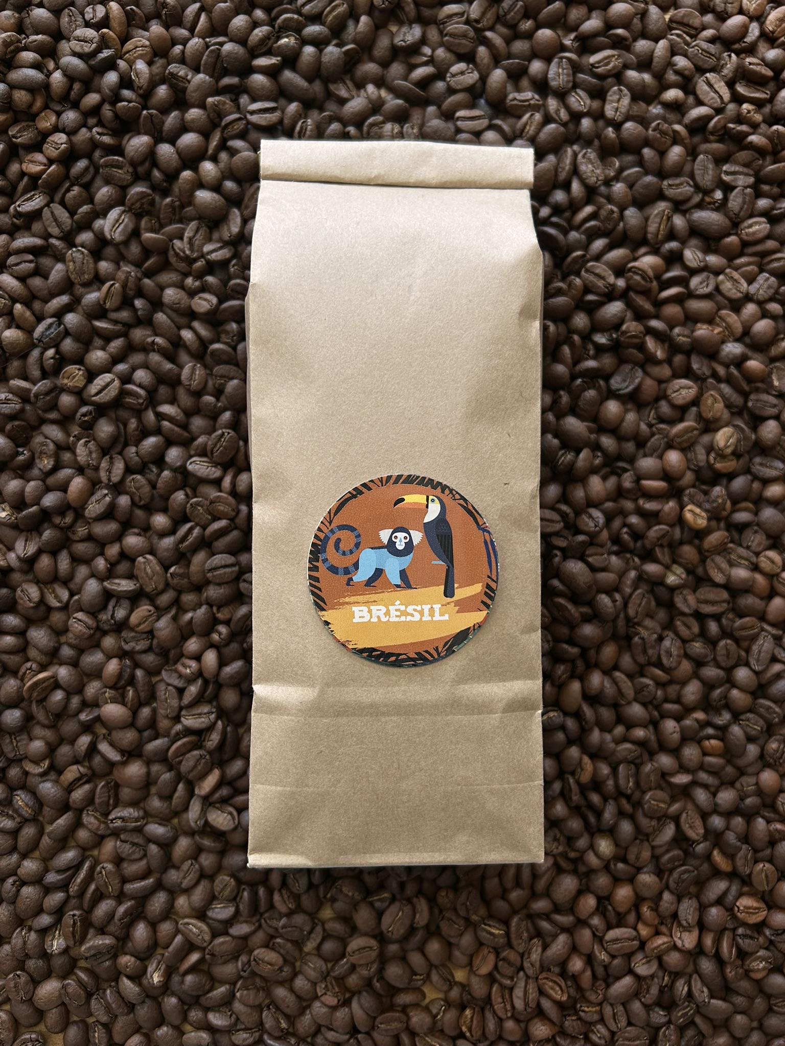 Café du Brésil – Bob O Link – GRAIN, café de spécialité du Brésil aux notes de citron vert, noix et chocolat au lait