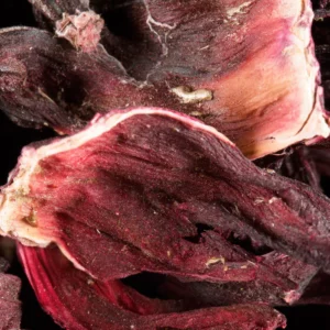 CARCADET DAMMANN – Hibiscus