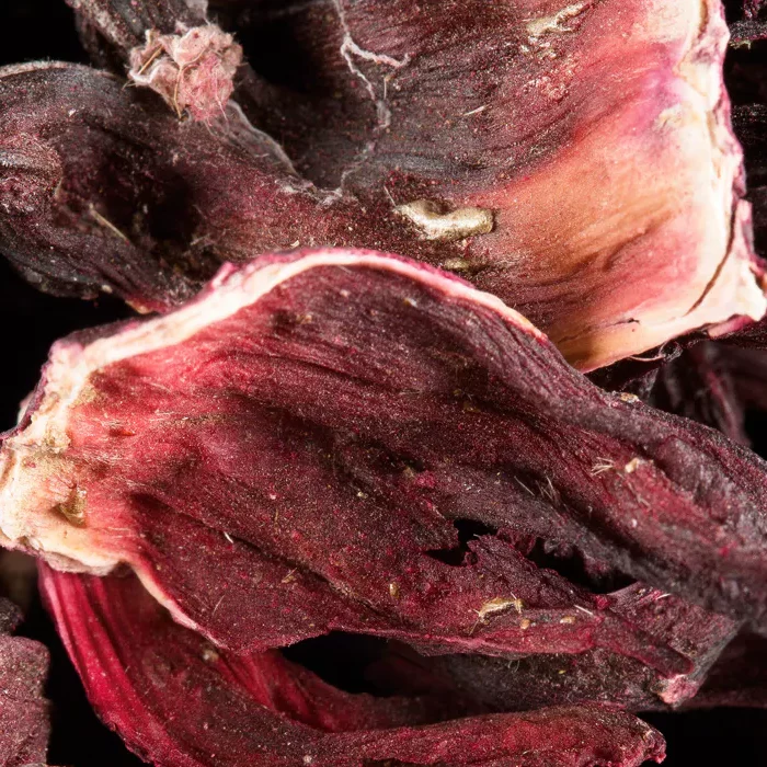 CARCADET DAMMANN – Hibiscus