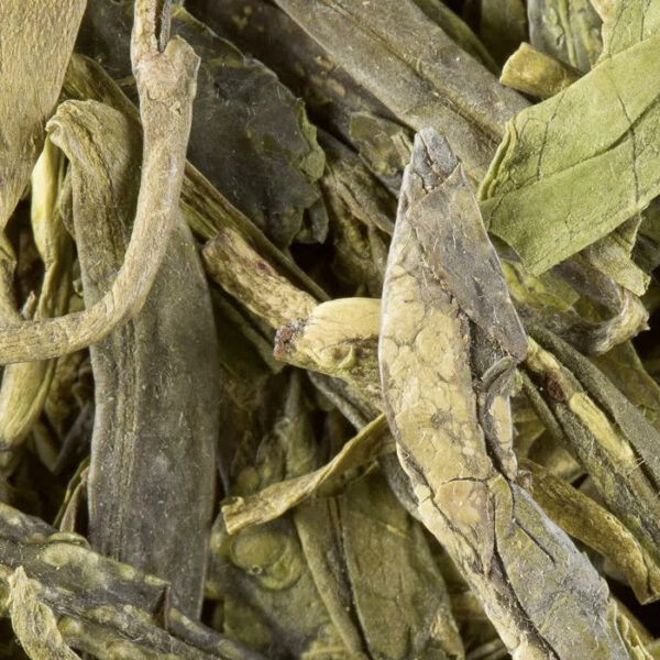 Boîte de THE VERT DAMMANN – Lung Ching, thé vert chinois raffiné aux notes végétales et châtaigne grillée