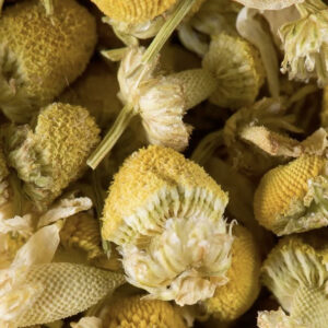 Tisane Dammann – Camomille, infusion florale aux notes douces et fruitées