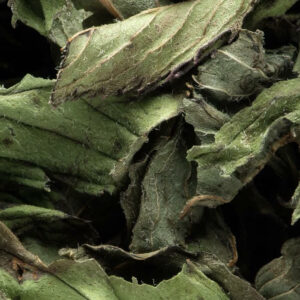 Tisane Dammann – Menthe Poivrée, infusion rafraîchissante et mentholée