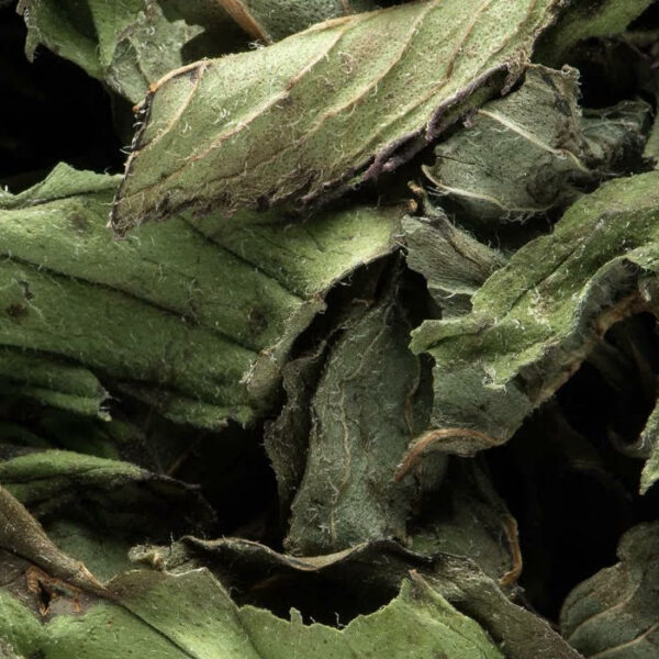 Tisane Dammann – Menthe Poivrée, infusion rafraîchissante et mentholée