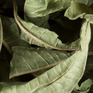 Tisane Dammann – Verveine, infusion apaisante au goût citronné et fruité